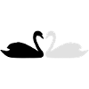 Swan