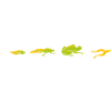 French frog evolution