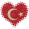I love Turkey turkish heart Türkiye Cumhuriyeti