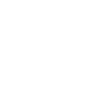 aile droite avec quatre plumes