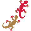 Two geckos 2c
