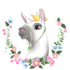 Llama Drama Queen