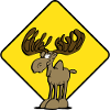 Caution Moose Moose