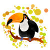 Toucan