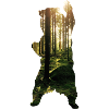 Bear Forest photo