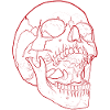 Dumb Scream - Skull in red