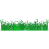 weed