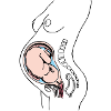 Pregnant