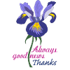 english iris