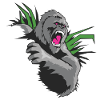 king kong