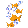golden fishes