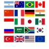 G20 flag