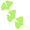 Ginkgo Halbkreis Girlande