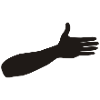 Hand Arm