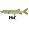 pike1
