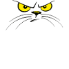 Katze Katzen Katzengesicht böse