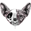 Shynx Cat Half Skull