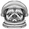 Pug Astronaut