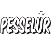 Nordnorsk ordbok: Pesselur :: Det norske plagg