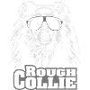 frais BRUTE collie