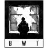 BWT Standard Logo