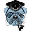 Pug Sailor