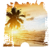 Plage avec palmier