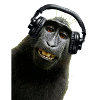 Shirt Monkey Music by CustomStyle