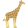 Giraffe for children