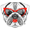 Mops-Dame