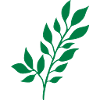Branch with leaves