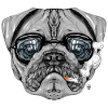 Pug Intelectual