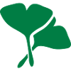 plantes médicinales ginko