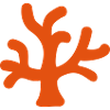 coral