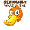 Seriously what the duck