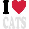 I love CATS