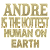 Andre
