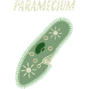 Paramecium/Pantoffeltierchen/Biologe/Geschenk