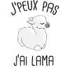 Baby llama