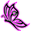 papillon rose