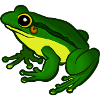 frog