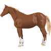 horse