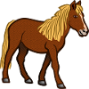 horse