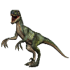 Velociraptor dinosaurs 4