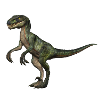 Velociraptor dinosaurs 5