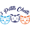 3 Little cats