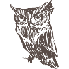 Eule