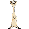 meerkat cartoon sfacciato regalo casual audace