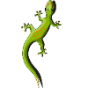 Gecko lizard krybdyr sød klatre dyr gave