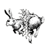 Roadkill